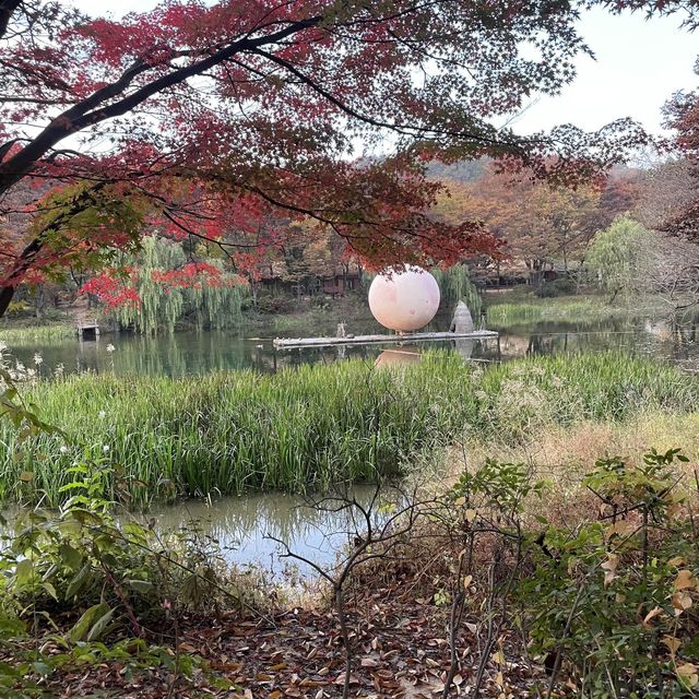 한국민속촌에 아름다운 단풍이🍁