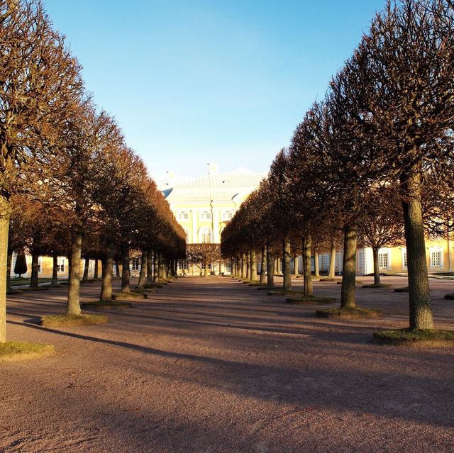 พระราชวังฤดูร้อน ในฤดูหนาว Peterhof st.peterburg