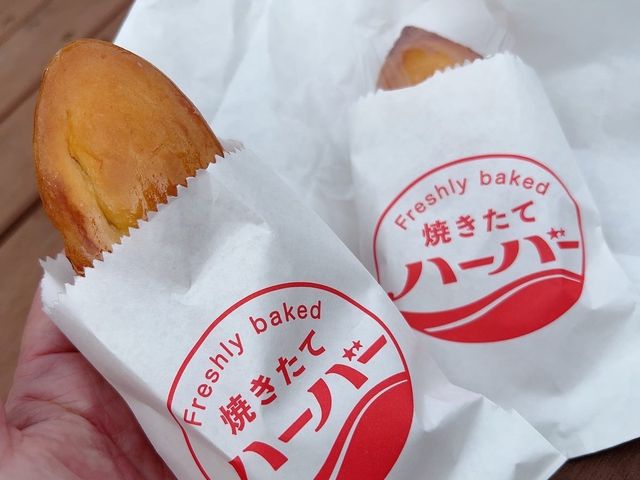 【横浜】ありあけハーバースタジオ⚓︎ 焼きたてハーバー