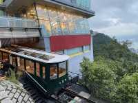 復古車身、擁有全景玻璃窗的第六代山頂纜車🚠