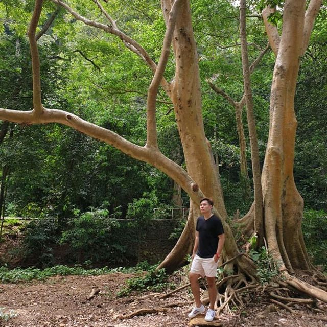 พิกัดลับๆ ภาพสลักนูนต่ำ ที่เก่าแก่ที่สุดในไทย