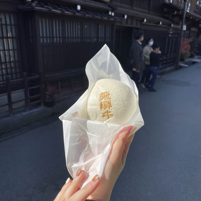 世界遺産 白川郷の合掌造り🏞