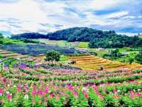 ที่พักวิวหมอกวิวเขา @เชียงใหม่