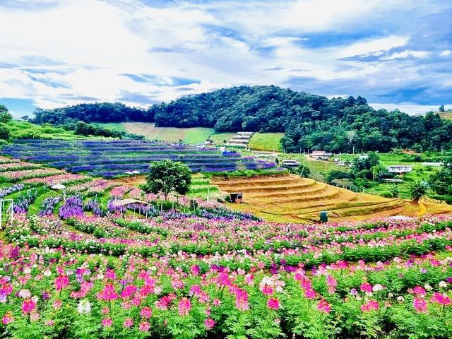 ที่พักวิวหมอกวิวเขา @เชียงใหม่