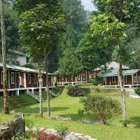 D'JUNGLE PRIVATE CAMP, BOGOR