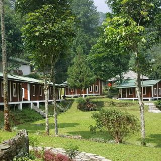 D'JUNGLE PRIVATE CAMP, BOGOR