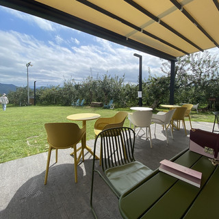 Bersantailah di kebun apel, Haffles Farm Cidery