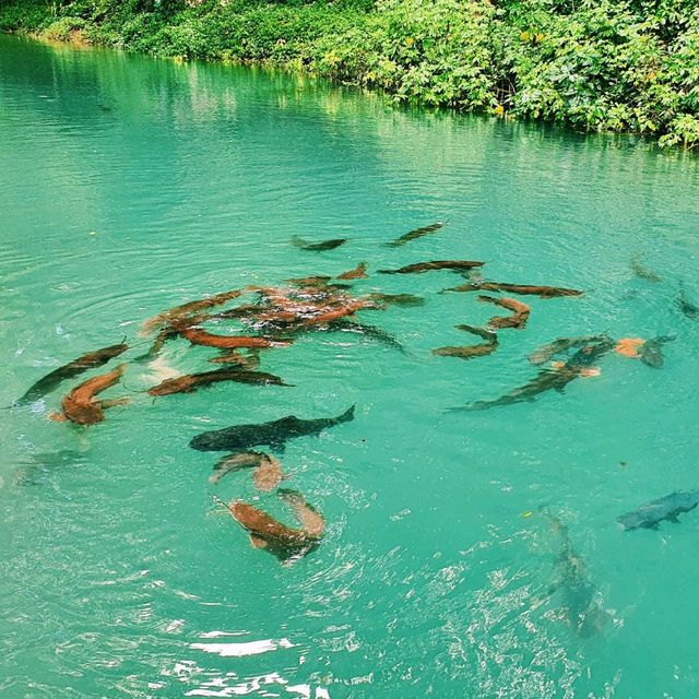 ถ้ำงามอลังการในภาคเหนือ