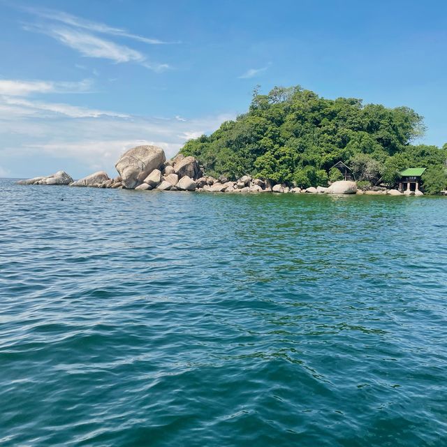 เกาะเต่า ธรรมชาติใต้ทะเล 