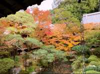 京都[紅葉めぐり]  永観堂(禅林寺)  圧巻の堂内編