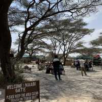 wildss at Ngorongoro 