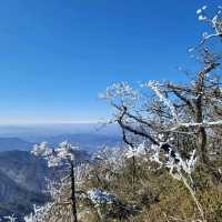 손쉽게 산 정상에서 눈꽃을 볼 수 있는 덕유산 리조트