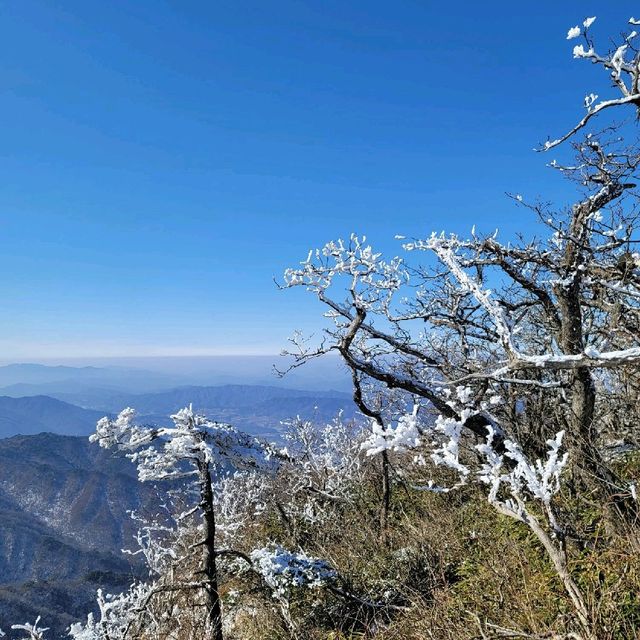 손쉽게 산 정상에서 눈꽃을 볼 수 있는 덕유산 리조트