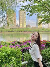 벚꽃 졌다고 안 가기 너무 아쉬운 석촌호수