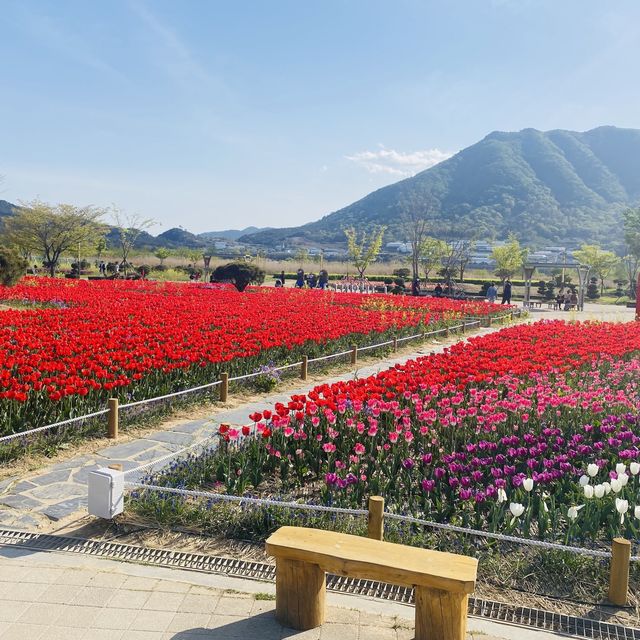 꽃순이들이라면 무조건 가야하는 필수코스🥰🌸