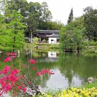 北區公園都可以影得好靚
