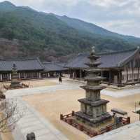 지리산 대표사찰 화엄사