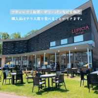 【北海道】紅茶好き必見！ニセコおすすめスポット