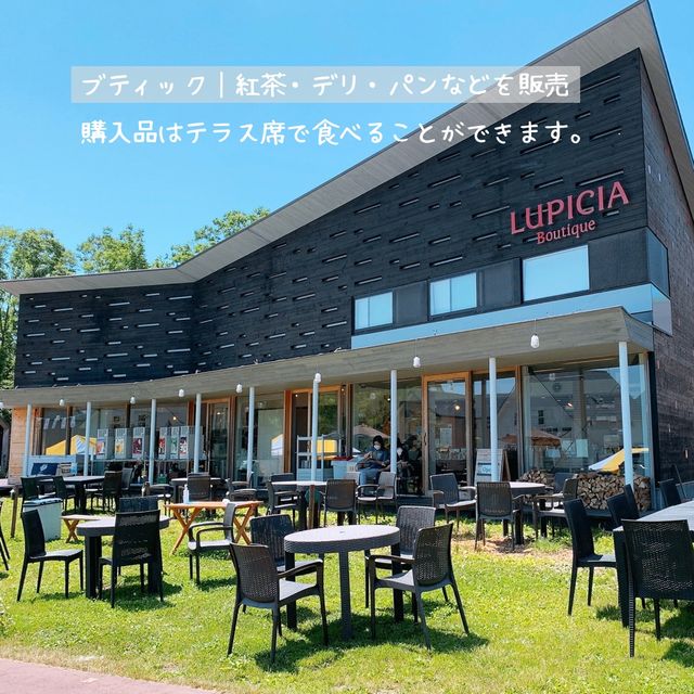 【北海道】紅茶好き必見！ニセコおすすめスポット