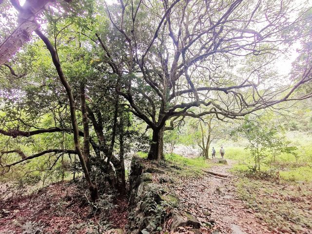 龍門郊遊徑