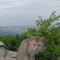 강화도 마니산