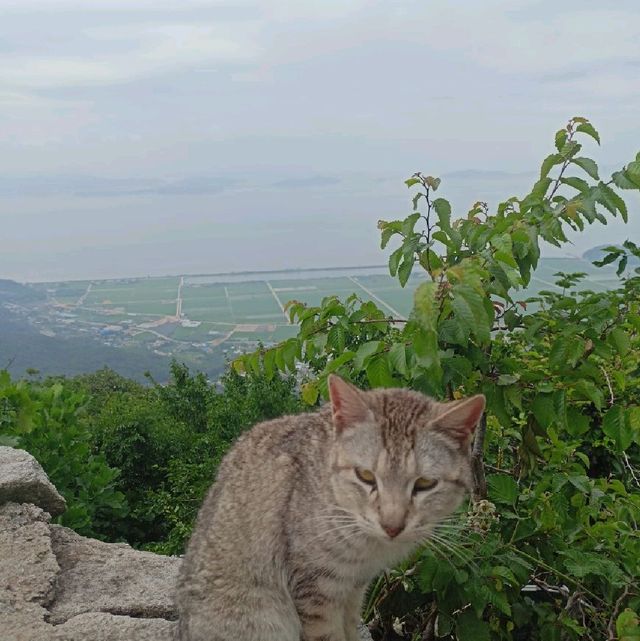 강화도 마니산