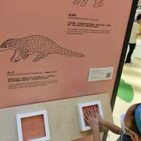 同仔仔一樣冇手尾動物免費展覽