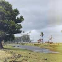 Heartwarming attracted beach!