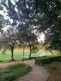 경남 진주 최고의 연못공원💚 강주연못 💚