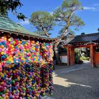 【京都府】カラフルで可愛い神社を参拝！