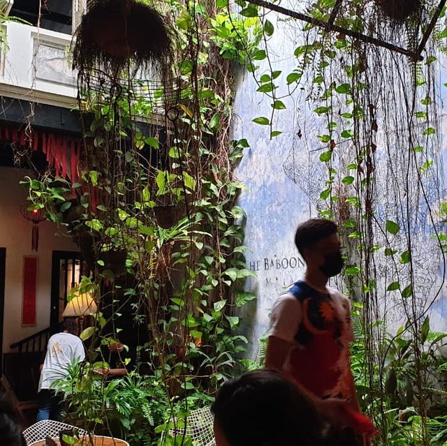 The Baboon House