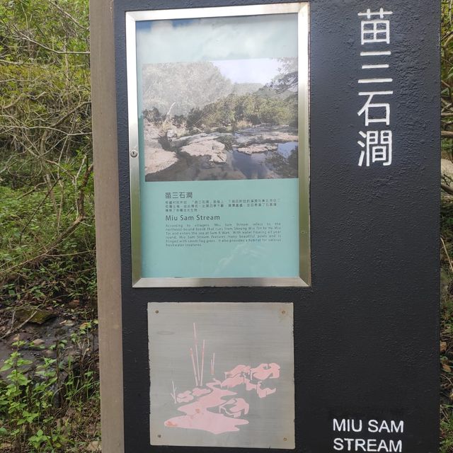 親子行山好去處👣 烏絞騰->三亞村->荔枝窩