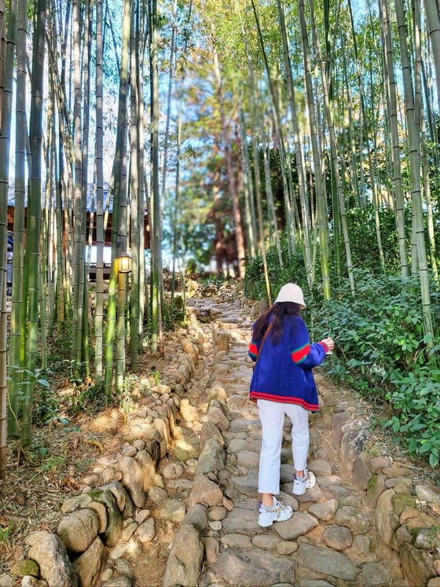 윤스테이 촬영지 구례 쌍산재! 한옥이 이렇게나 예뻤네🤎