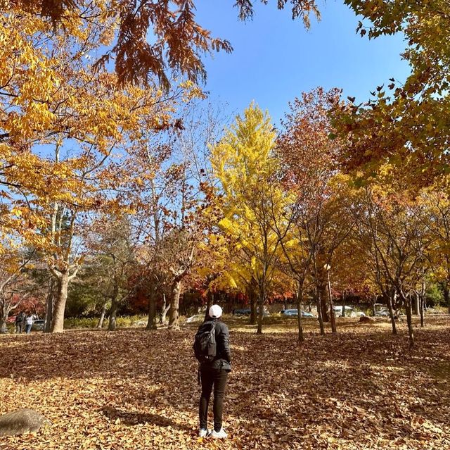 Gyeongju , is a must place to enjoy autumn 🍂