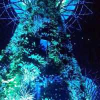 旅遊推介 新加坡🇸🇬站SupertreeGrove
