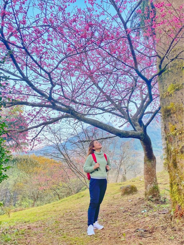 Winter Wonderland in Vietnam