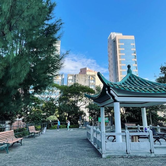 行山超快閃20-30分鐘，市區中既秘密花園🪴-訊號山花園
