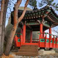 아침 산책이 좋았던 숙소