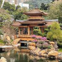 靜心之旅🫶🏻鑽石山志蓮淨院