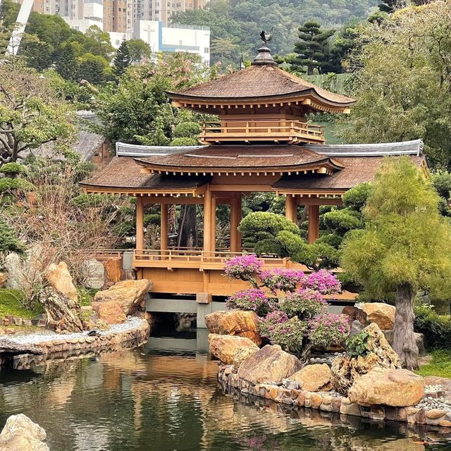 靜心之旅🫶🏻鑽石山志蓮淨院