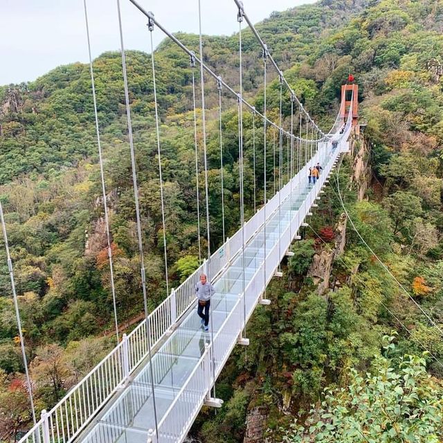 Tianqiaogou Glass Footbridge - Liaoning