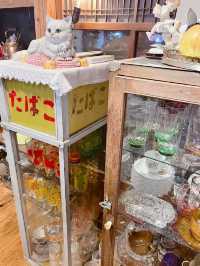 【福岡カフェ】一面の落ち葉の絨毯🥹🍂
