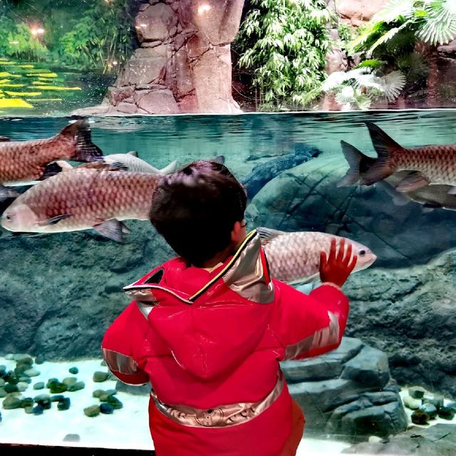 Shanghai Ocean Aquarium