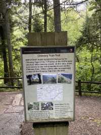 Chimney Top Trail - Smoky National Park