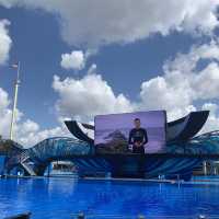 Seaworld ~ International  Drive 