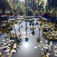 Jardine Majorelle