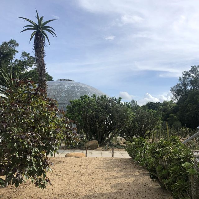 深圳氧吧｜東湖植物園