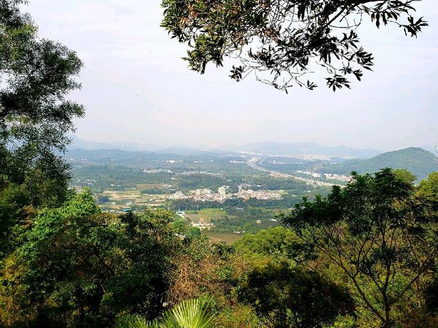 Yunti Mountain ⛰ | Stairway to Paradise!