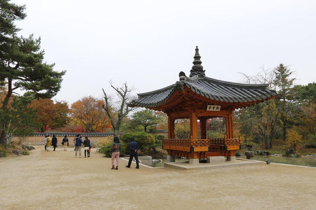 용인 호암미술관 산책하며 계절을 느껴요
