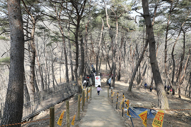 원주 소금산출렁다리 그랜드밸리